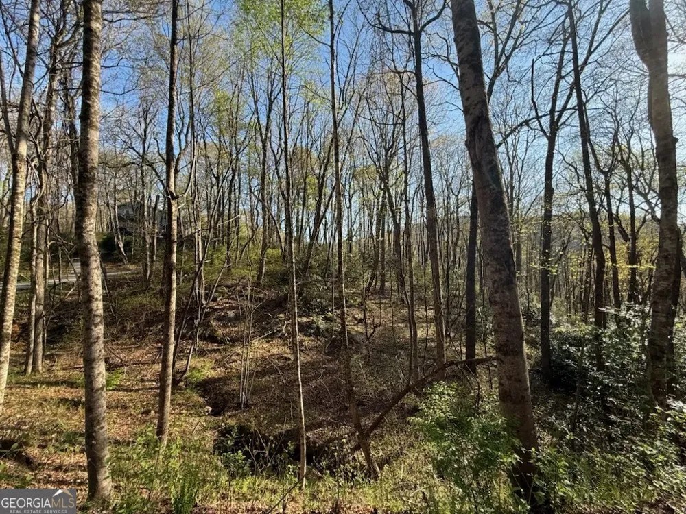 0 Thunderhead Sky Valley, GA 30537