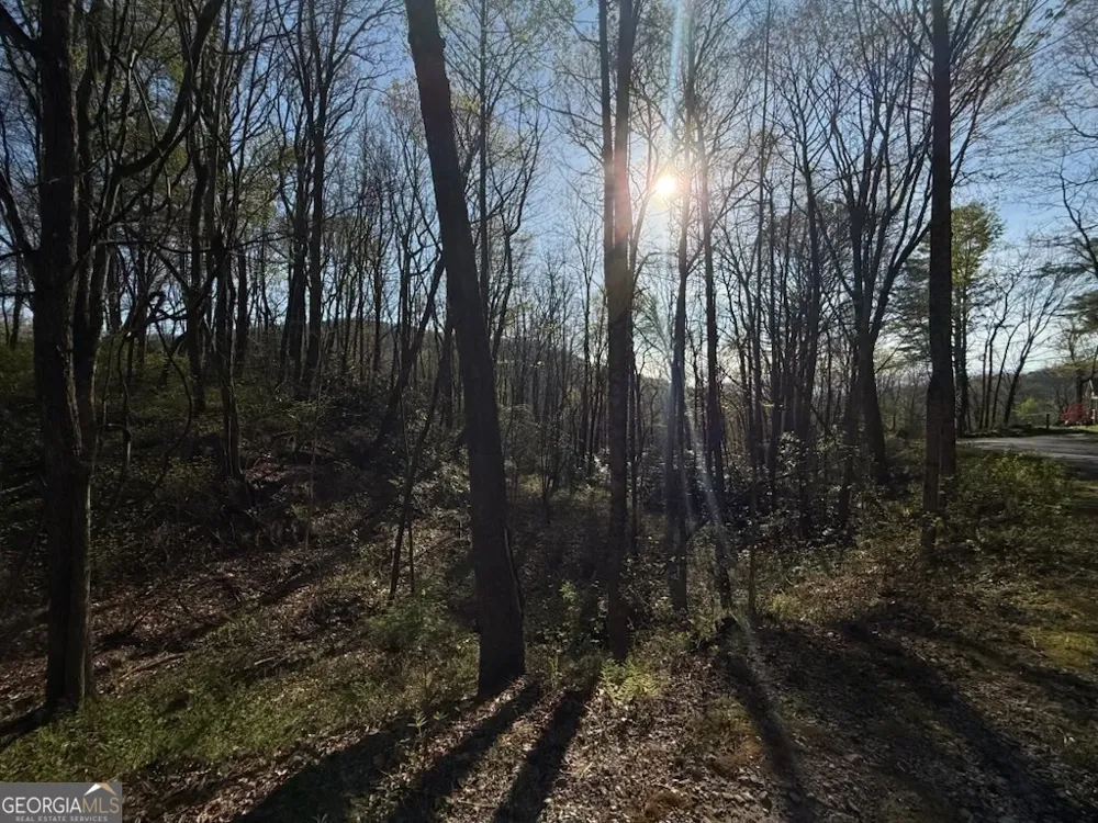 0 Thunderhead Sky Valley, GA 30537