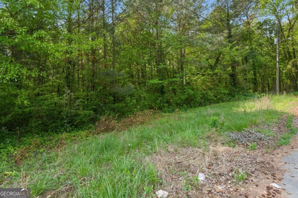 1453 California AVE Conley, GA 30288