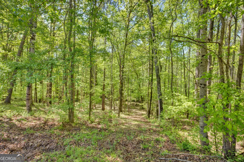 115 Crestview LN Newborn, GA 30056