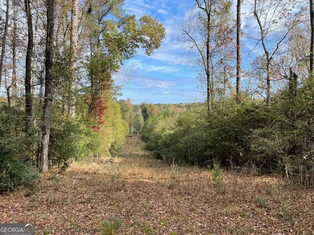 1775 Brown RD Hephzibah, GA 30815