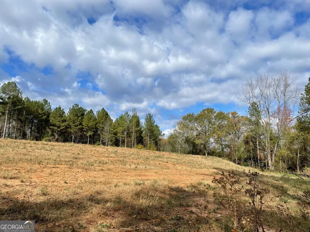1775 Brown RD Hephzibah, GA 30815