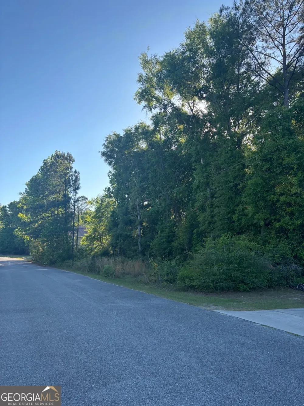 LOT 52 Pelican LN SE Townsend, GA 31331