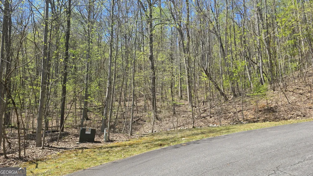 LOT 18 Overlook Loop Young Harris, GA 30582