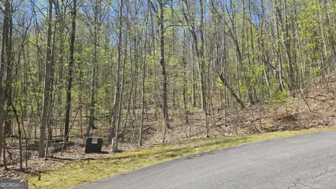 LOT 18 Overlook Loop