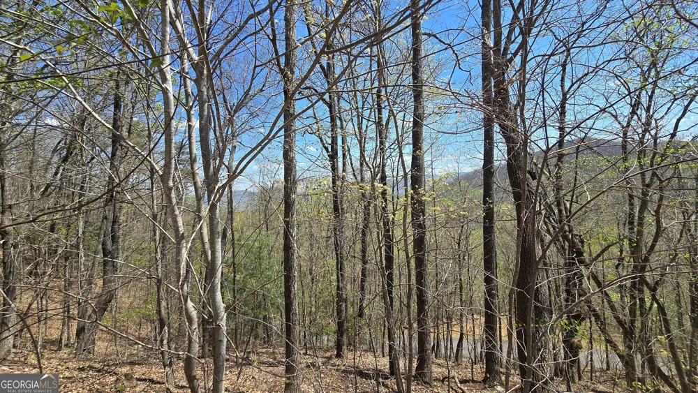 LOT 18 Overlook Loop Young Harris, GA 30582