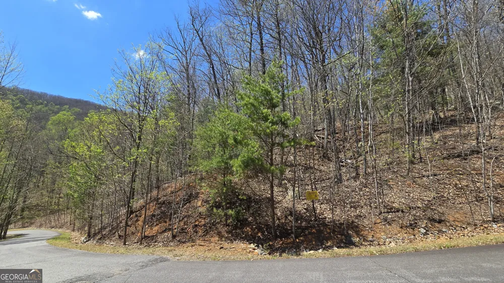 LOT 18 Overlook Loop Young Harris, GA 30582