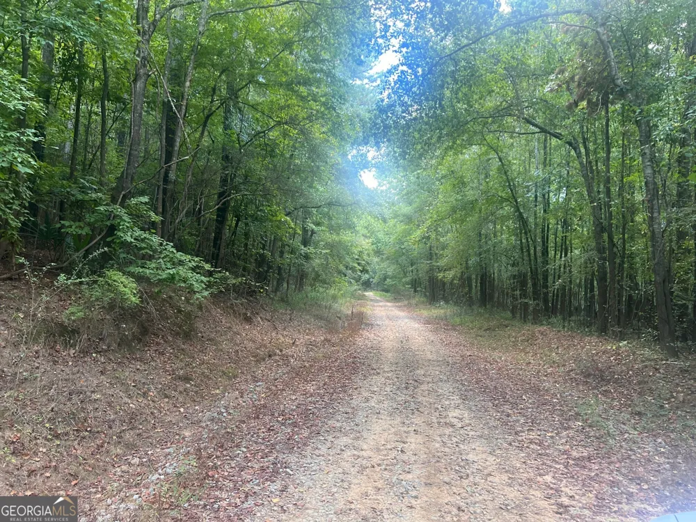 0 Charles Reeves RD Roberta, GA 31078