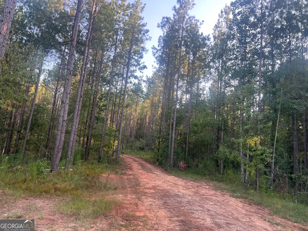 0 Charles Reeves RD Roberta, GA 31078