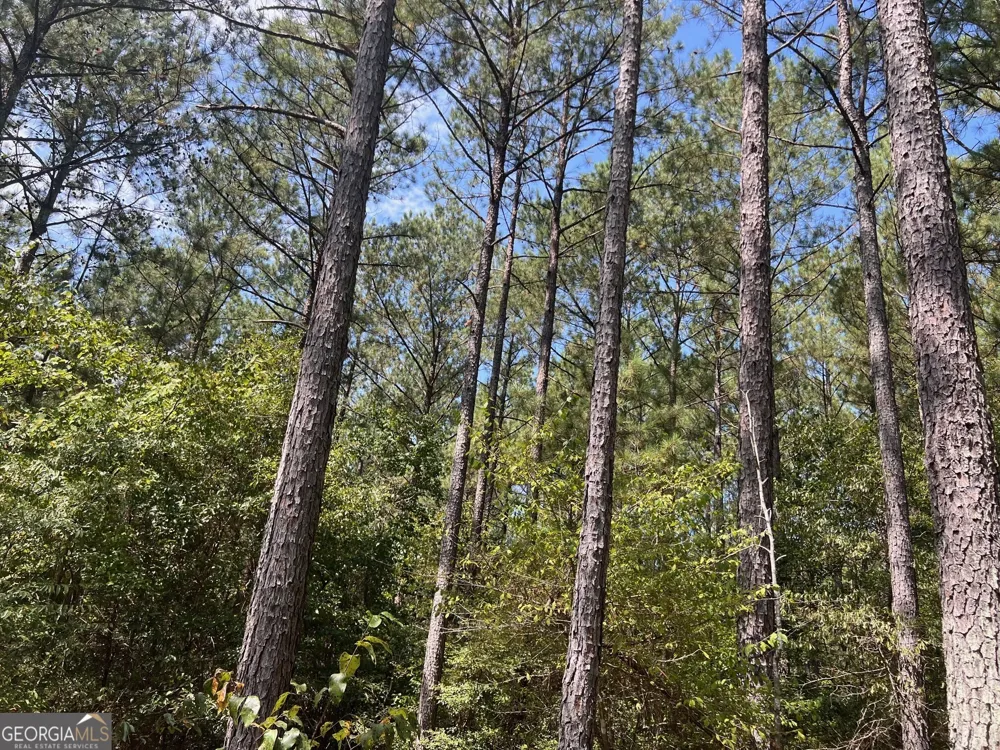 0 Charles Reeves RD Roberta, GA 31078