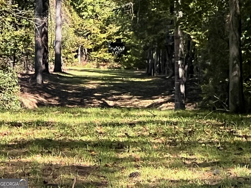 0 Charles Reeves RD Roberta, GA 31078