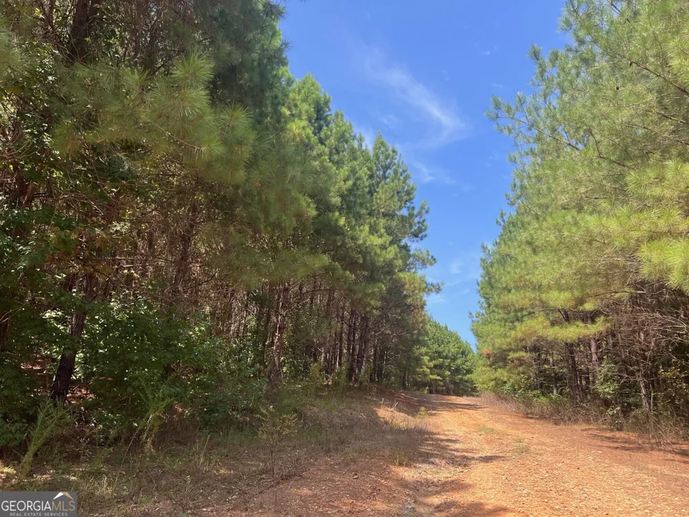 0 Charles Reeves RD Roberta, GA 31078