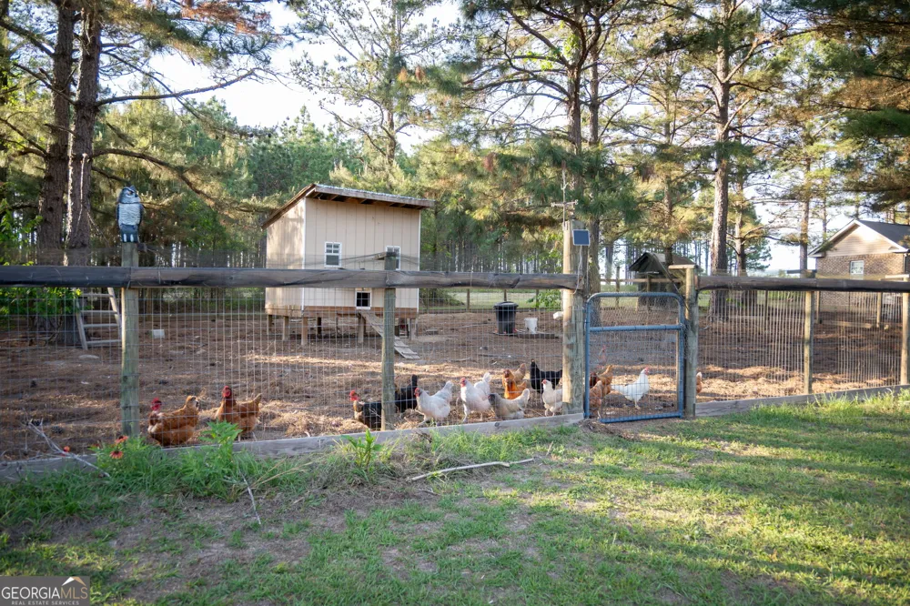 1060 Edna Moore RD Eastman, GA 31023
