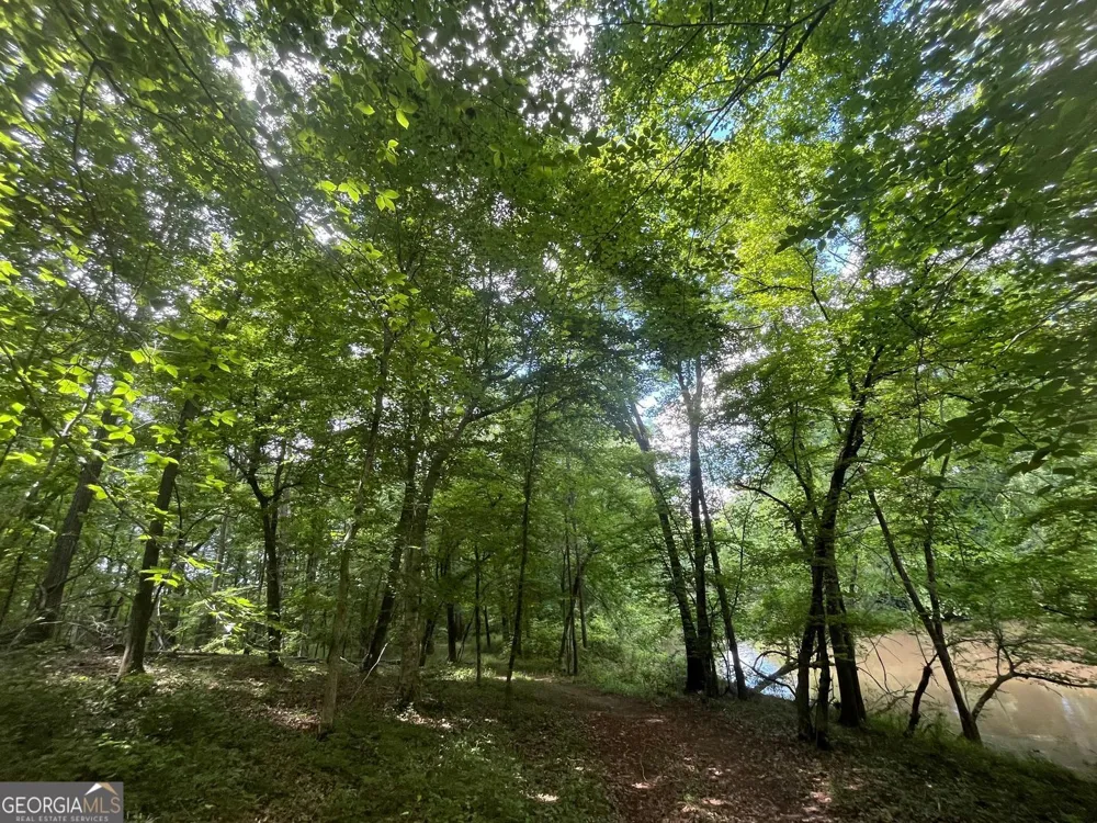 0 River LN Juliette, GA 31046