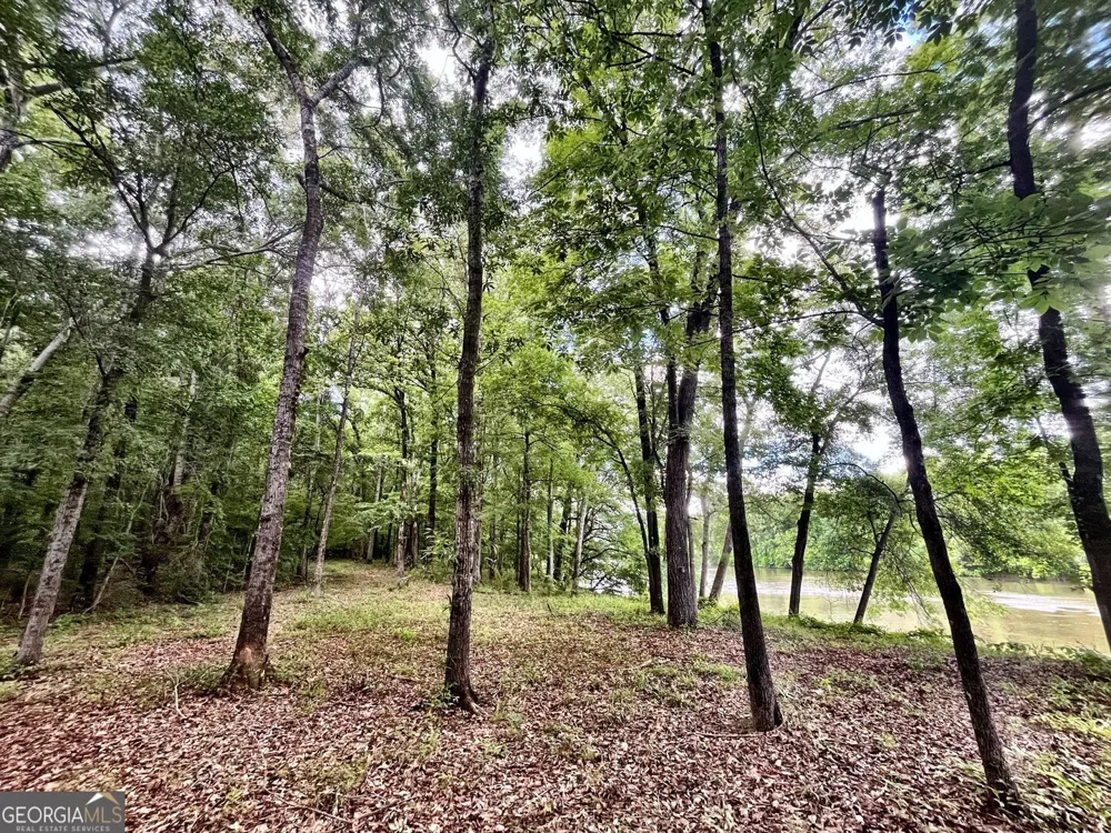 0 River LN Juliette, GA 31046