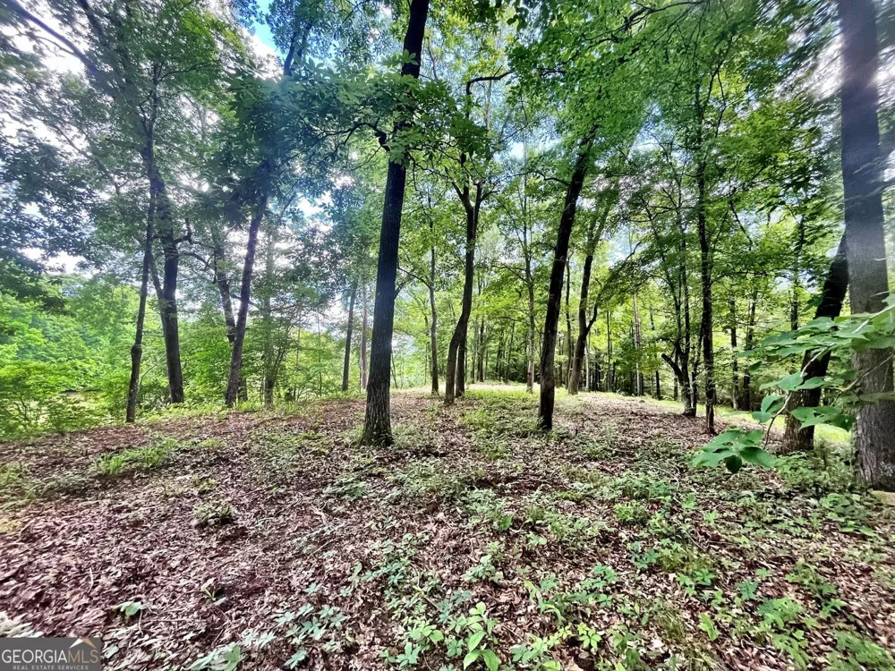 0 River LN Juliette, GA 31046