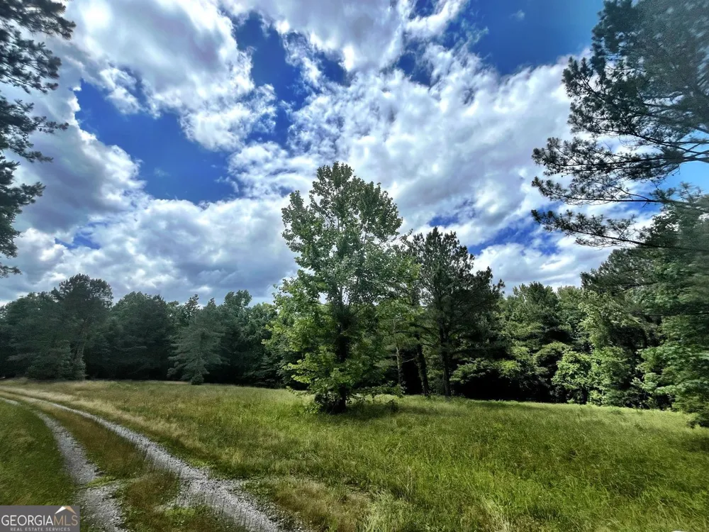 0 River LN Juliette, GA 31046