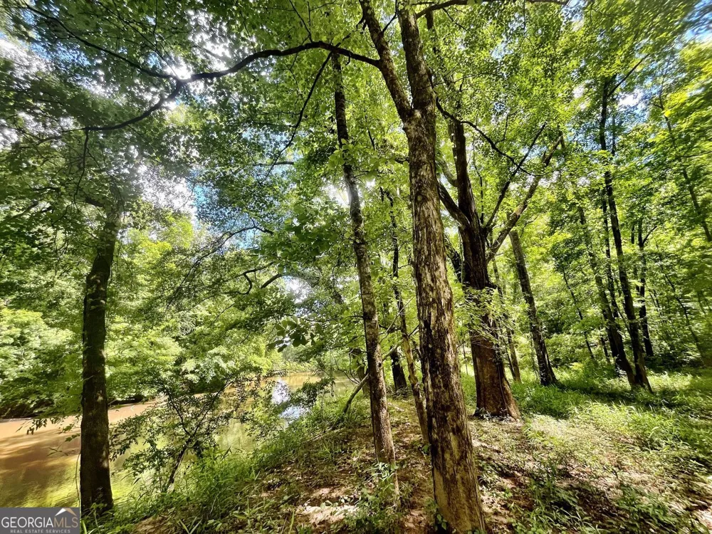 0 River LN Juliette, GA 31046