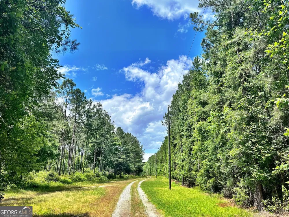 0 River LN Juliette, GA 31046