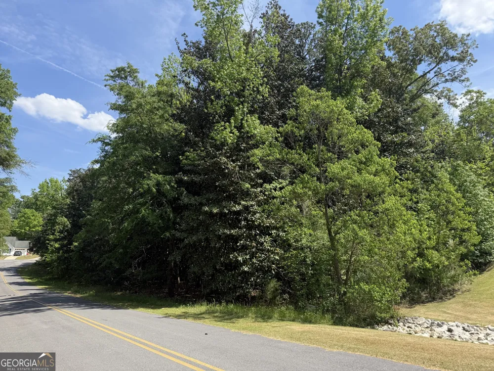 LOT 19-20 Wedgewood DR Sandersville, GA 31082