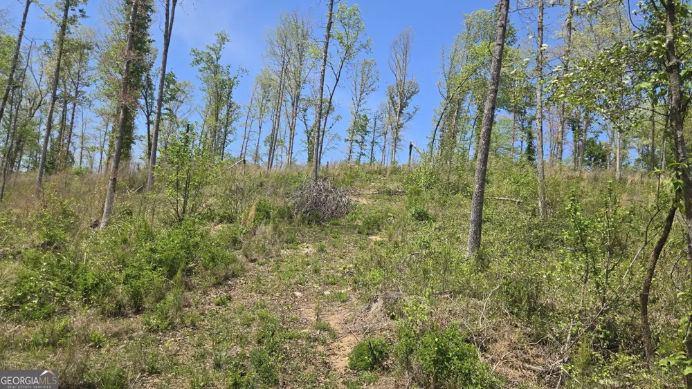 0 Sand Hill RD Bowman, GA 30624