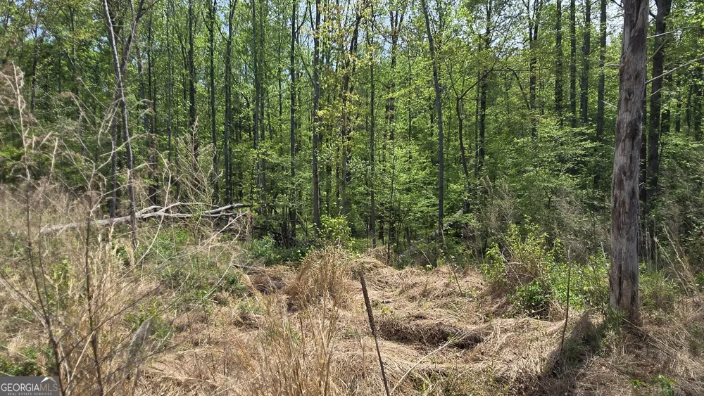 0 Sand Hill RD Bowman, GA 30624