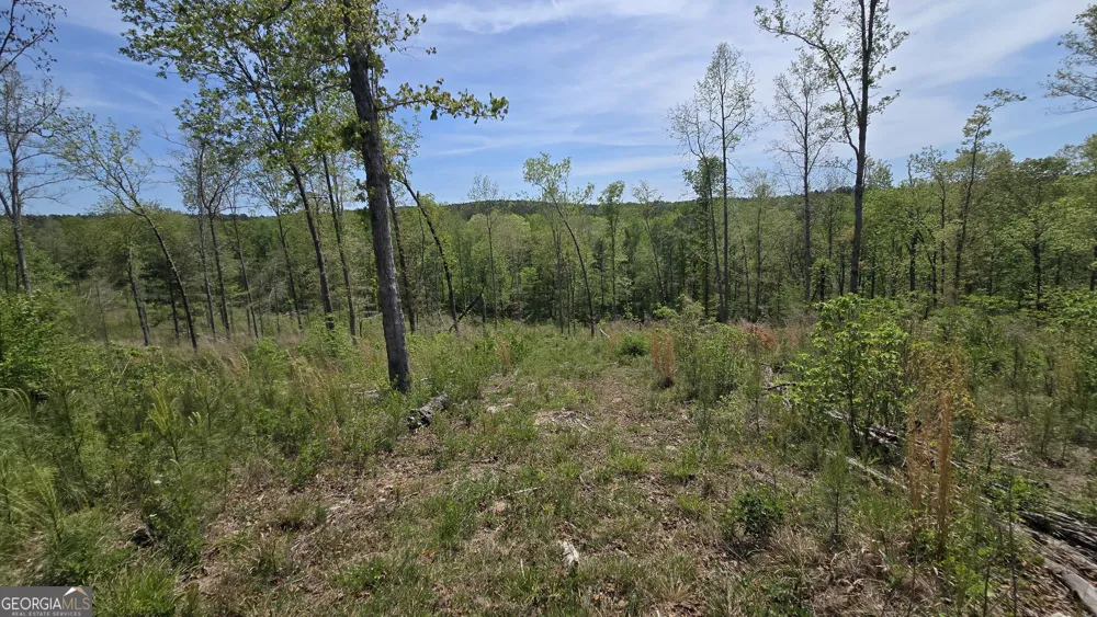 0 Sand Hill RD Bowman, GA 30624