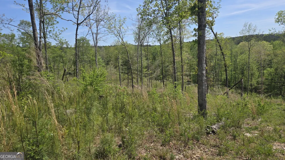 0 Sand Hill RD Bowman, GA 30624