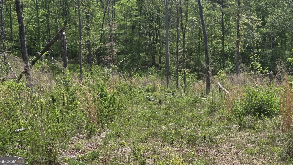 0 Sand Hill RD Bowman, GA 30624