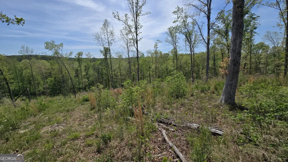 0 Sand Hill RD Bowman, GA 30624