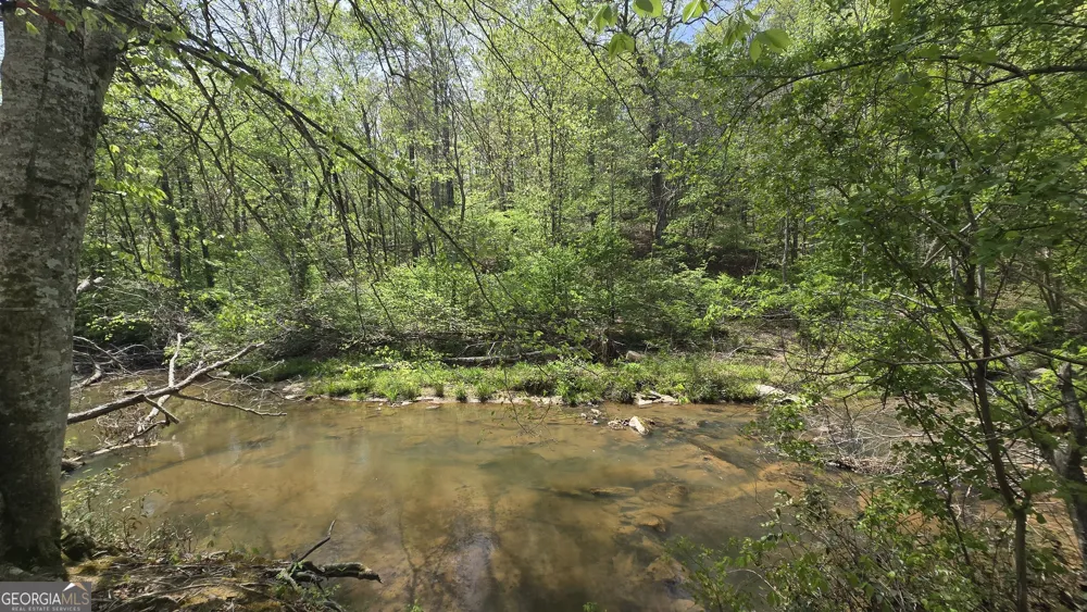 0 Sand Hill RD Bowman, GA 30624