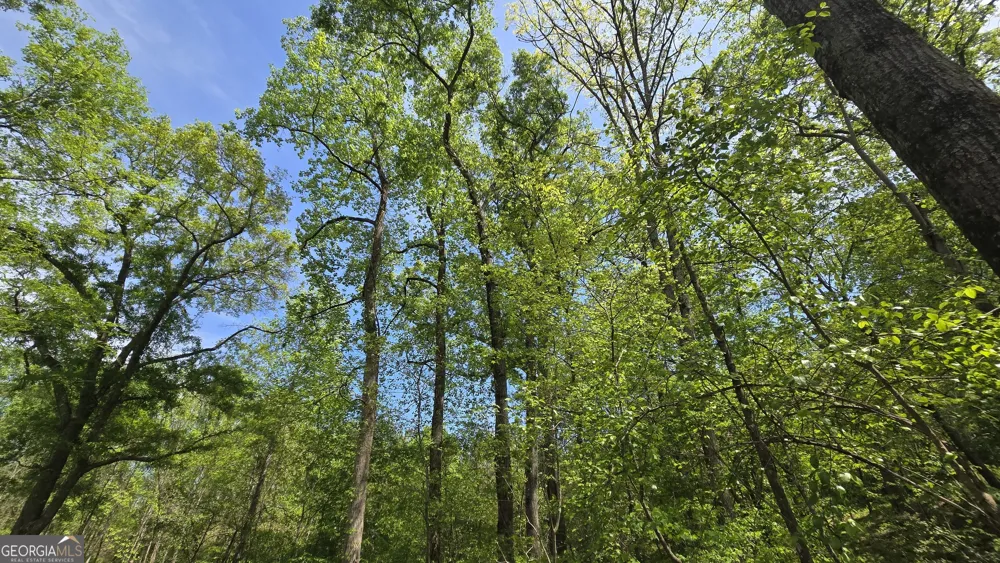0 Sand Hill RD Bowman, GA 30624