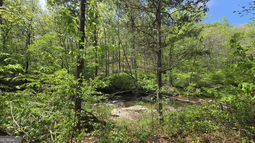 0 Sand Hill RD Bowman, GA 30624