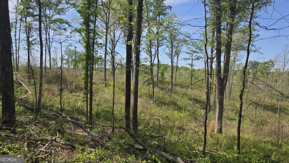 0 Sand Hill RD Bowman, GA 30624