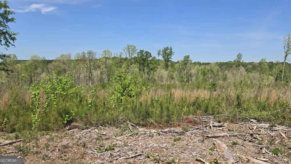 0 Sand Hill RD Bowman, GA 30624