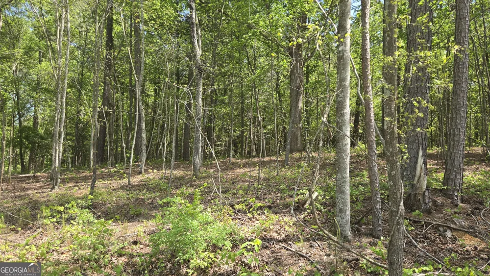 0 Sand Hill RD Bowman, GA 30624