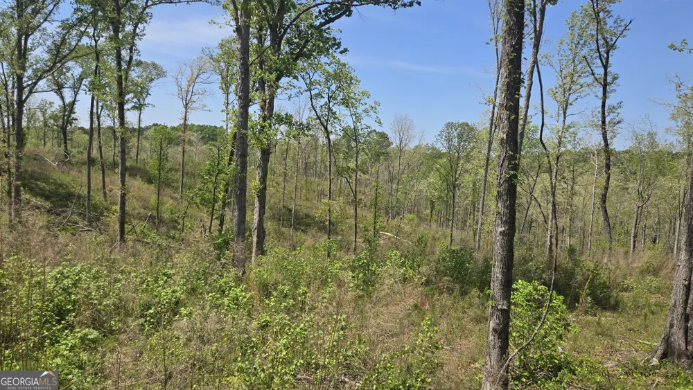 0 Sand Hill RD Bowman, GA 30624
