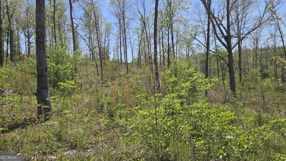 0 Sand Hill RD Bowman, GA 30624