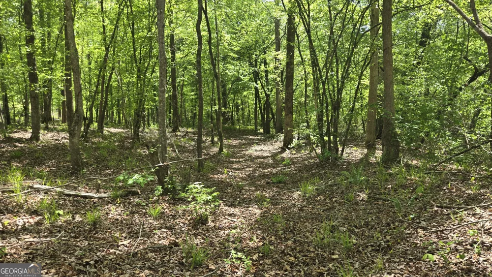 0 Sand Hill RD Bowman, GA 30624