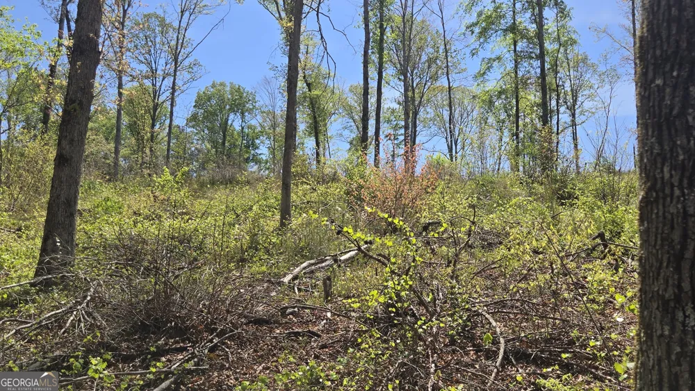 0 Sand Hill RD Bowman, GA 30624