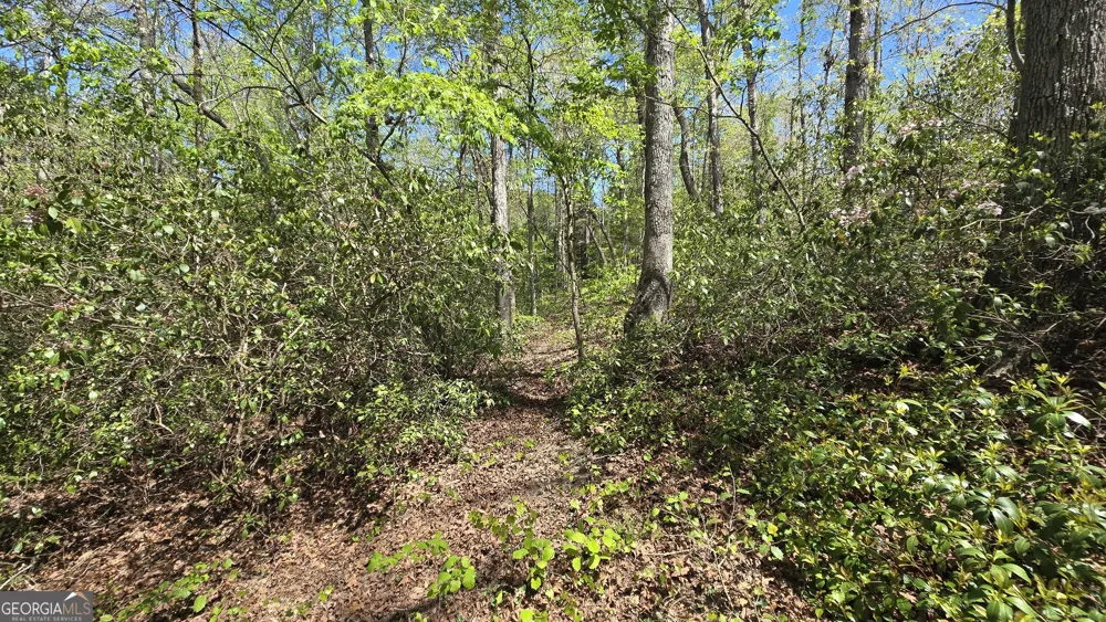 0 Sand Hill RD Bowman, GA 30624