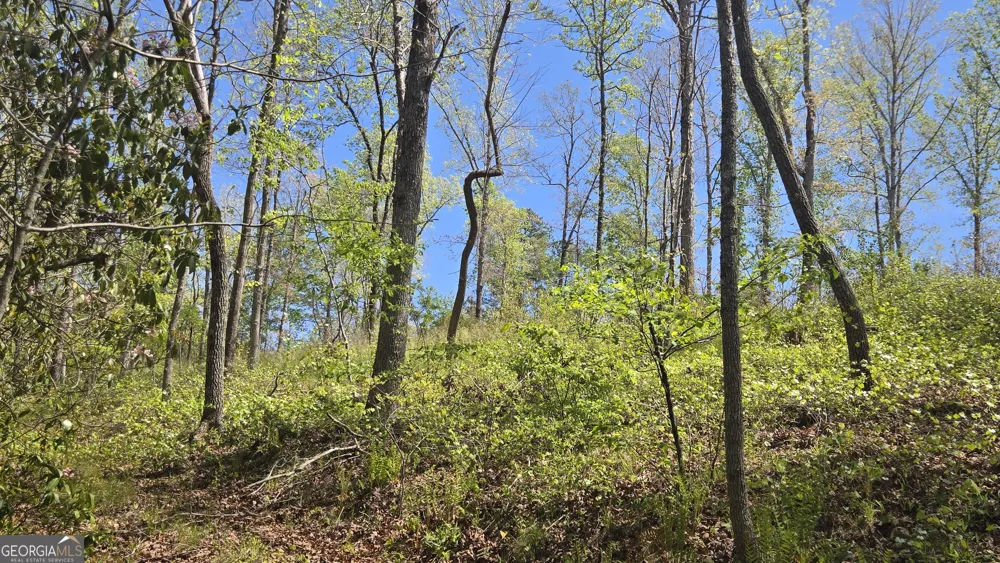 0 Sand Hill RD Bowman, GA 30624