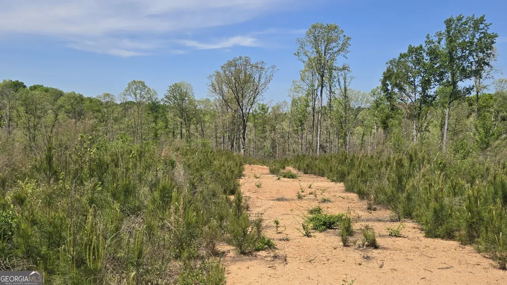 0 Sand Hill RD Bowman, GA 30624