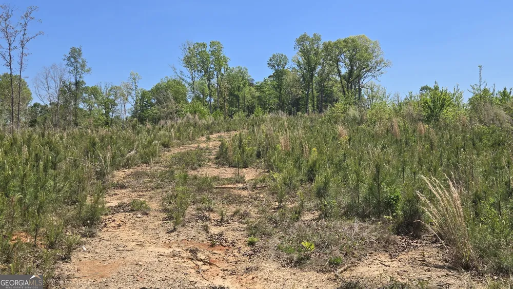 0 Sand Hill RD Bowman, GA 30624