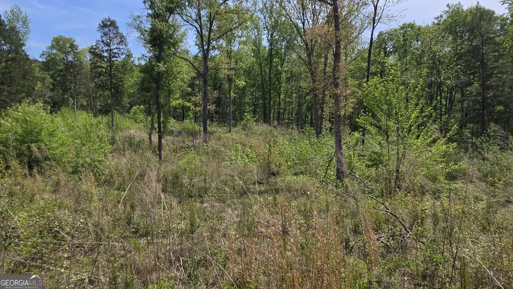 0 Sand Hill RD Bowman, GA 30624