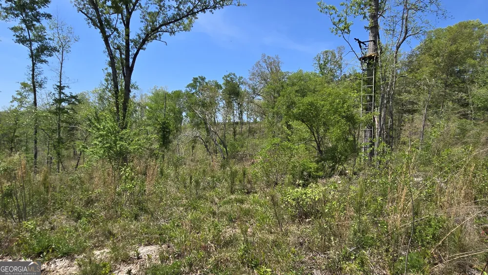 0 Sand Hill RD Bowman, GA 30624