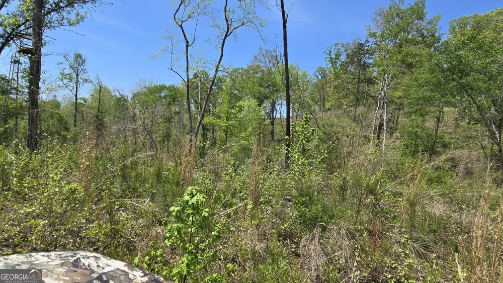 0 Sand Hill RD Bowman, GA 30624