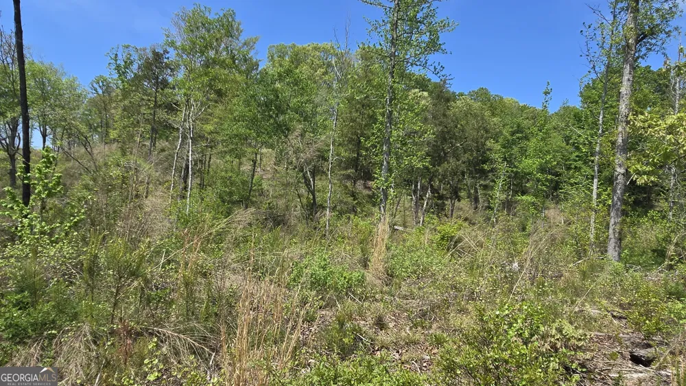 0 Sand Hill RD Bowman, GA 30624