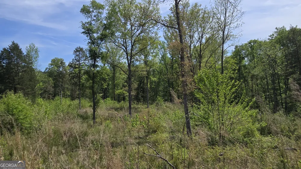 0 Sand Hill RD Bowman, GA 30624