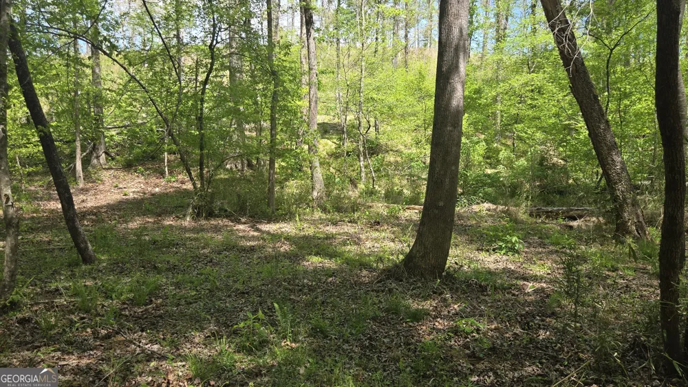 0 Sand Hill RD Bowman, GA 30624